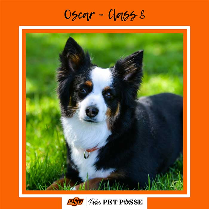 Oscar